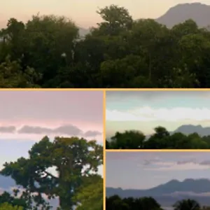 jolie-studette-dans-un-environnement-arbor.comcaribbean.com/